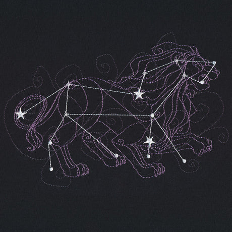 Ecliptic Constellations - Leo