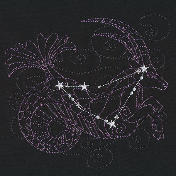 Ecliptic Constellations - Capricorn