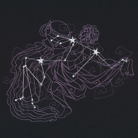 Ecliptic Constellations - Aquarius