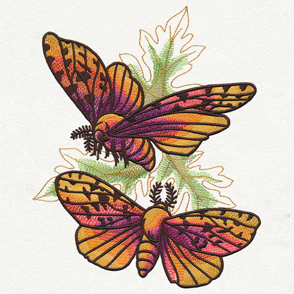 Autumn Equinox - Moths