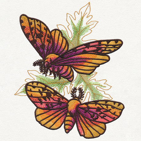 Autumn Equinox - Moths