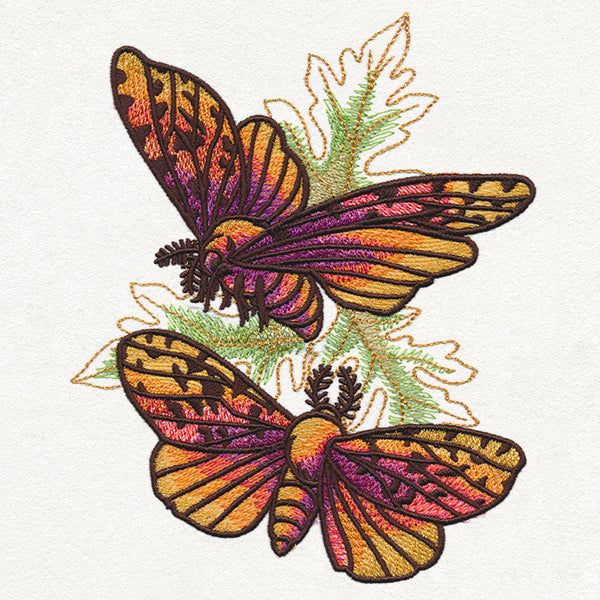 Autumn Equinox - Moths