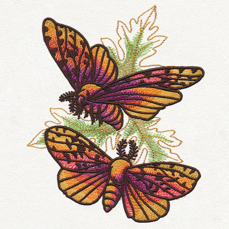 Autumn Equinox - Moths