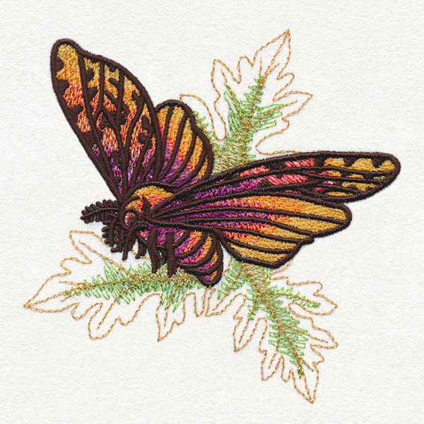 Autumn Equinox - Moths