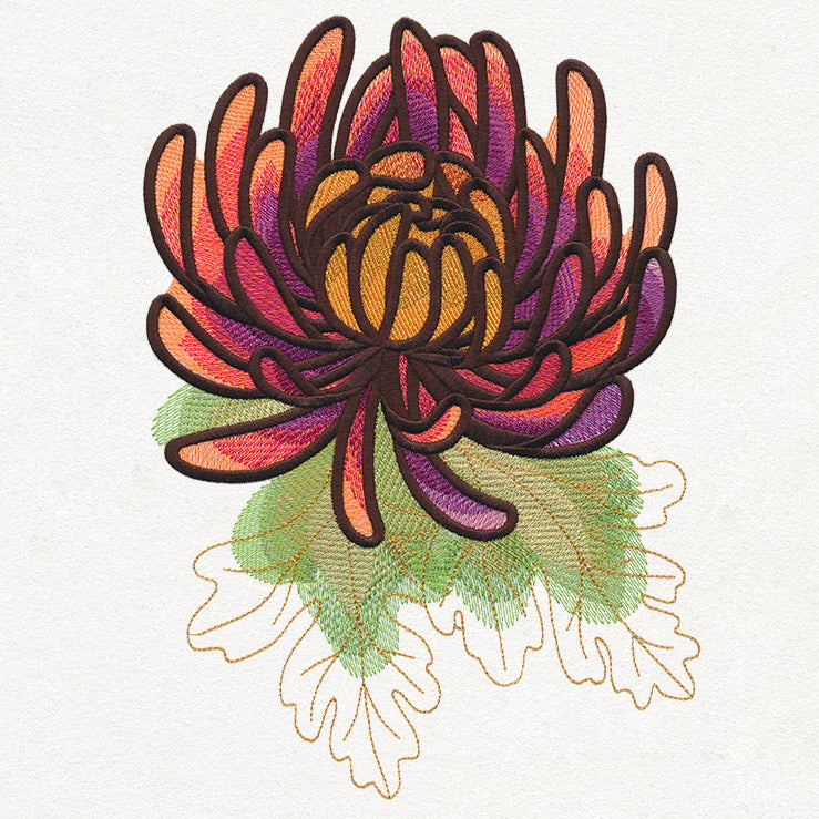 Autumn Equinox - Chrysanthemum