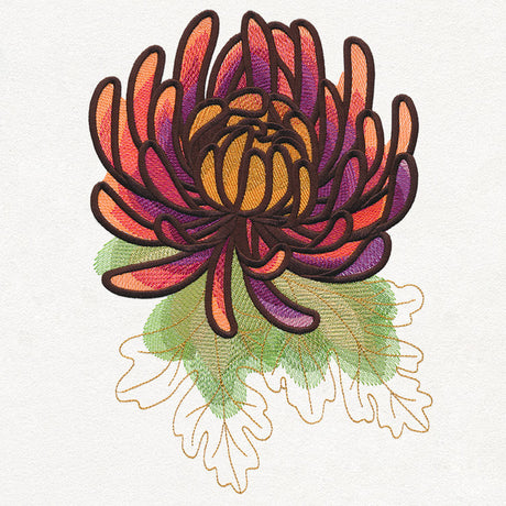 Autumn Equinox - Chrysanthemum