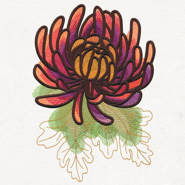 Autumn Equinox - Chrysanthemum