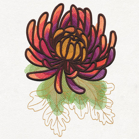 Autumn Equinox - Chrysanthemum