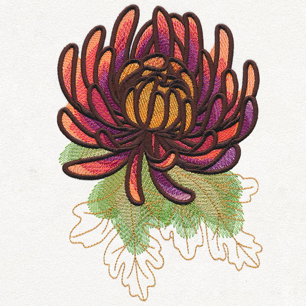 Autumn Equinox - Chrysanthemum