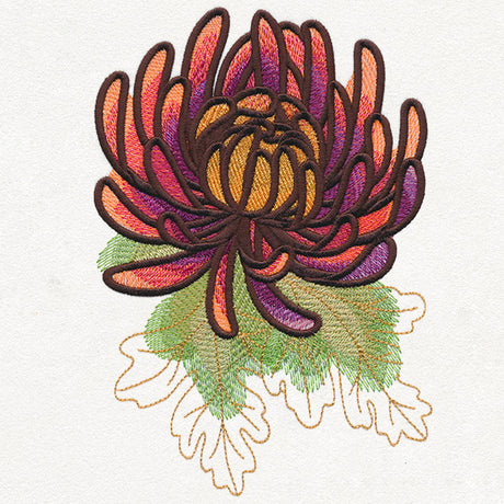 Autumn Equinox - Chrysanthemum