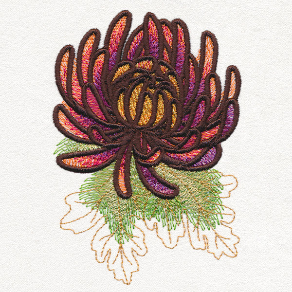 Autumn Equinox - Chrysanthemum