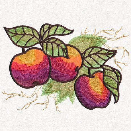 Autumn Equinox - Apples