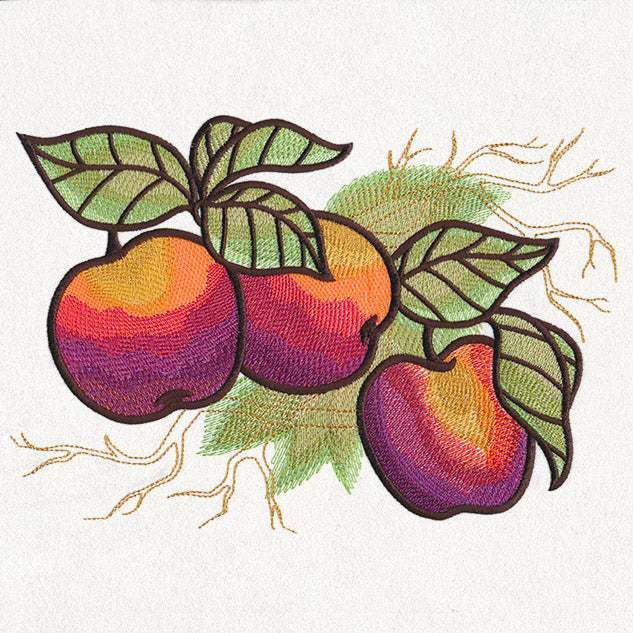 Autumn Equinox - Apples