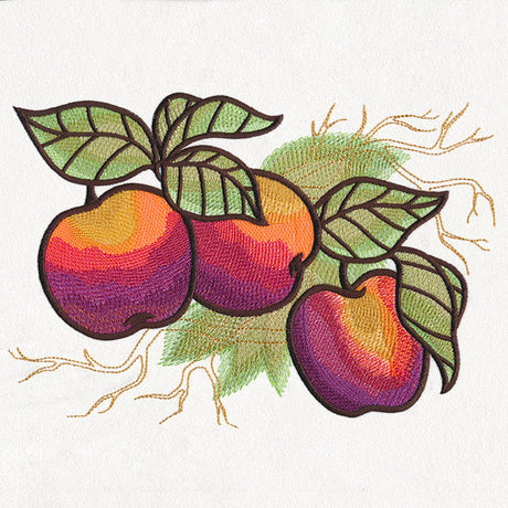 Autumn Equinox - Apples