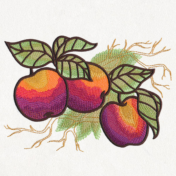 Autumn Equinox - Apples