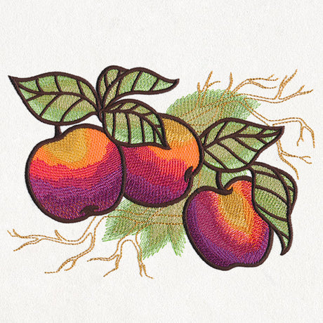 Autumn Equinox - Apples