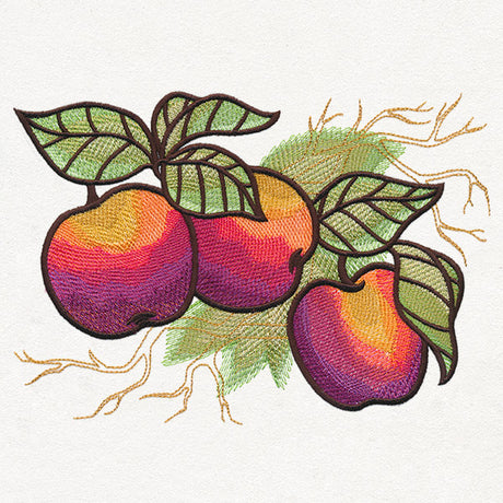 Autumn Equinox - Apples