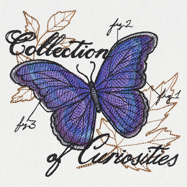 The Laboratory - Butterfly