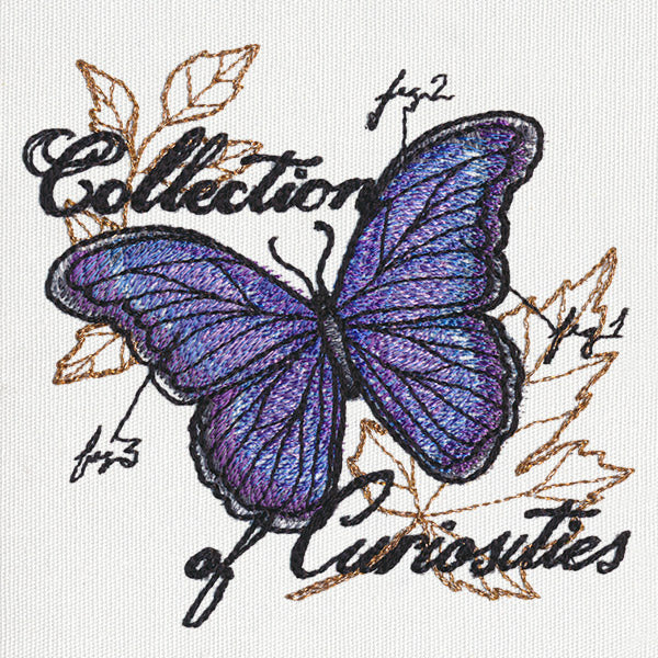 The Laboratory - Butterfly