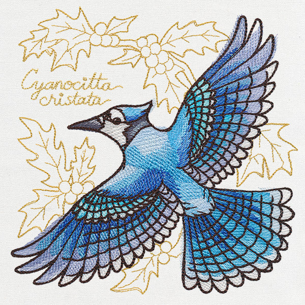 Yuletide Medley - Painted Blue Jay
