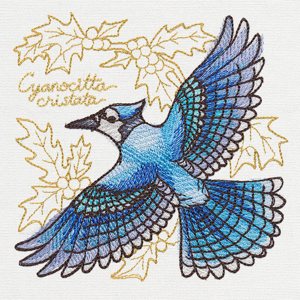 Yuletide Medley - Painted Blue Jay