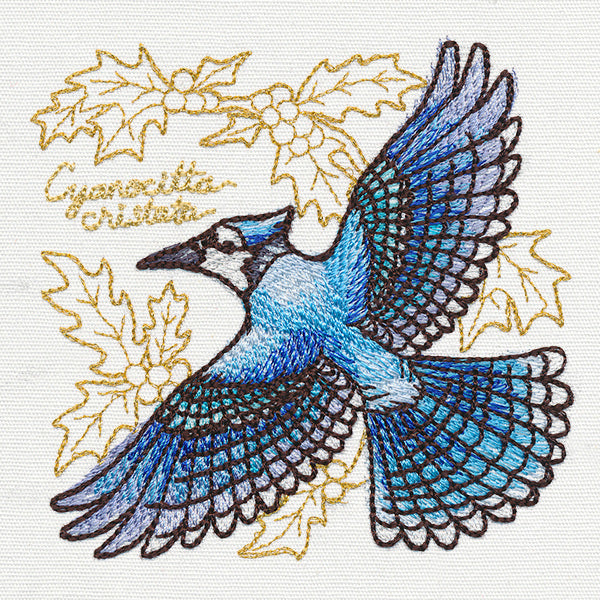 Yuletide Medley - Painted Blue Jay
