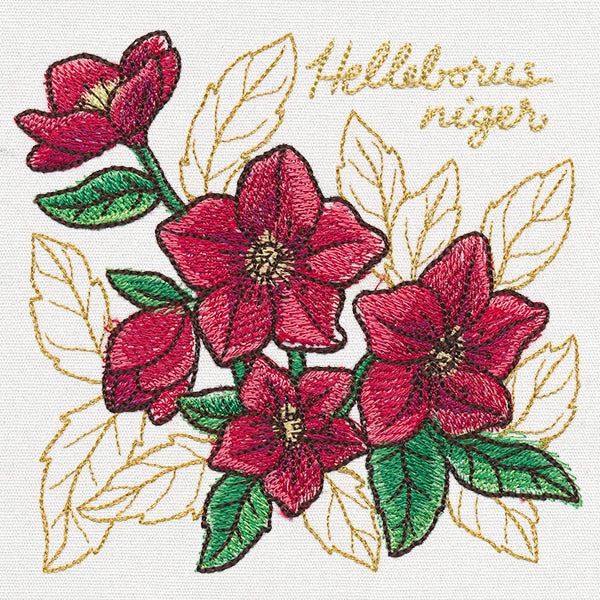 Yuletide Medley - Painted Christmas Rose