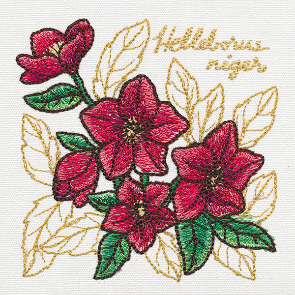 Yuletide Medley - Painted Christmas Rose