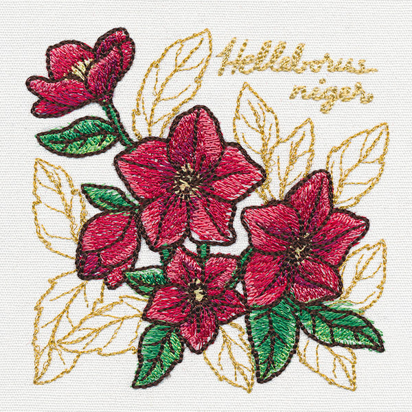 Yuletide Medley - Painted Christmas Rose