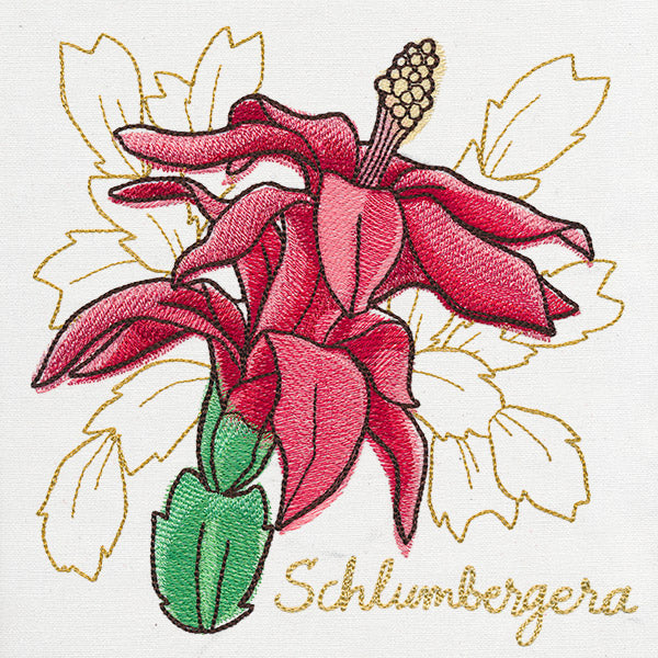 Yuletide Medley - Painted Christmas Cactus