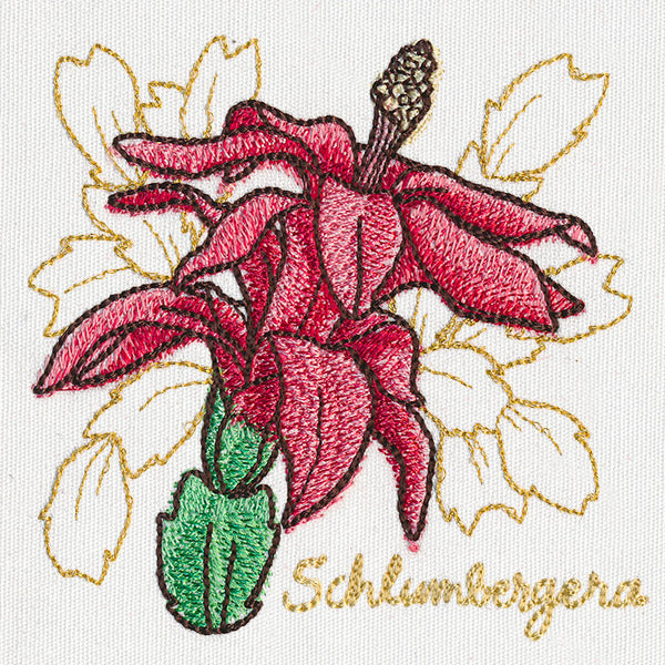 Yuletide Medley - Painted Christmas Cactus