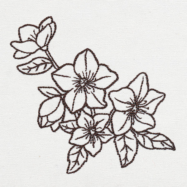 Yuletide Medley - Christmas Rose