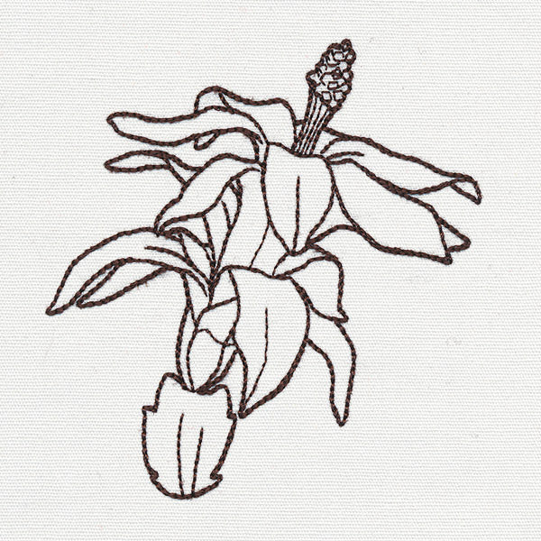 Yuletide Medley - Christmas Cactus