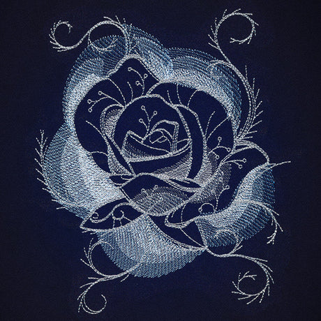 Jack Frost - Rose