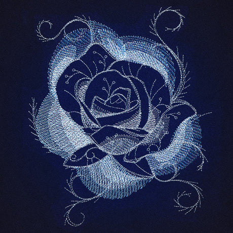 Jack Frost - Rose