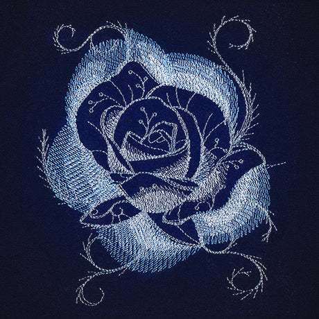 Jack Frost - Rose