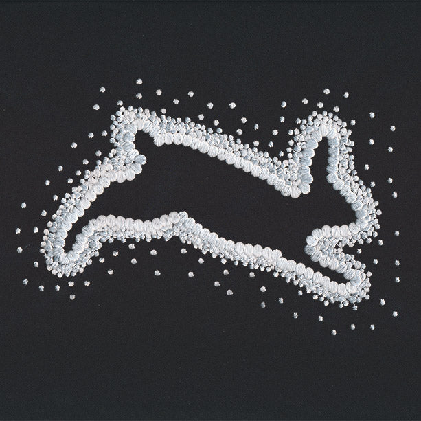 Pointed Rabbit
