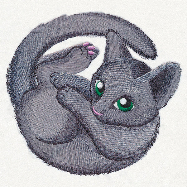 Curled Up Kitty