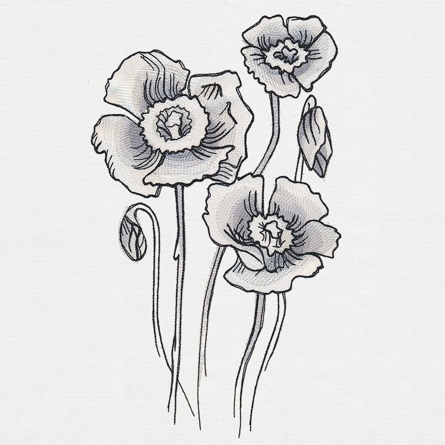 Ink & Wash - Poppies