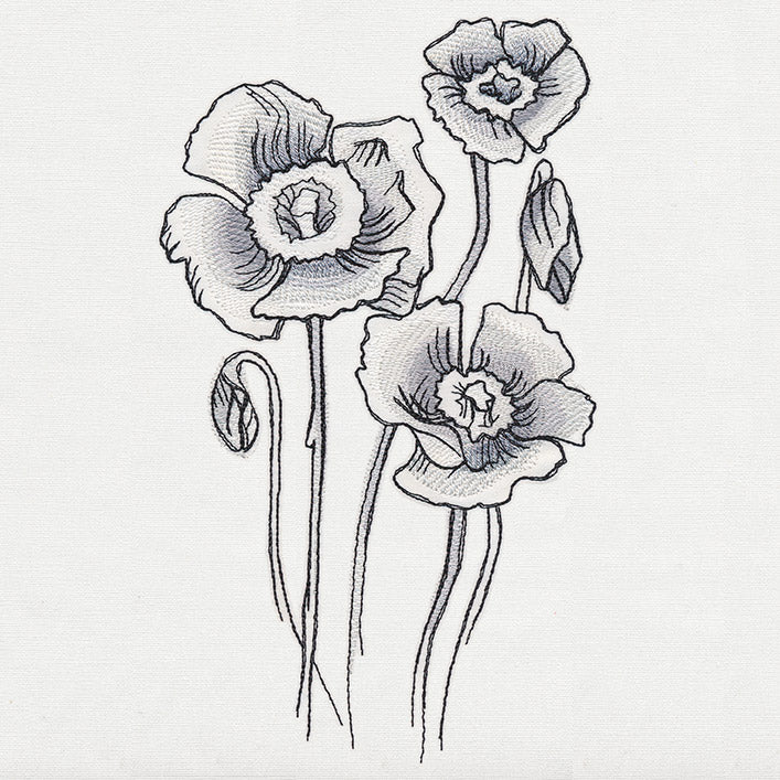 Ink & Wash - Poppies
