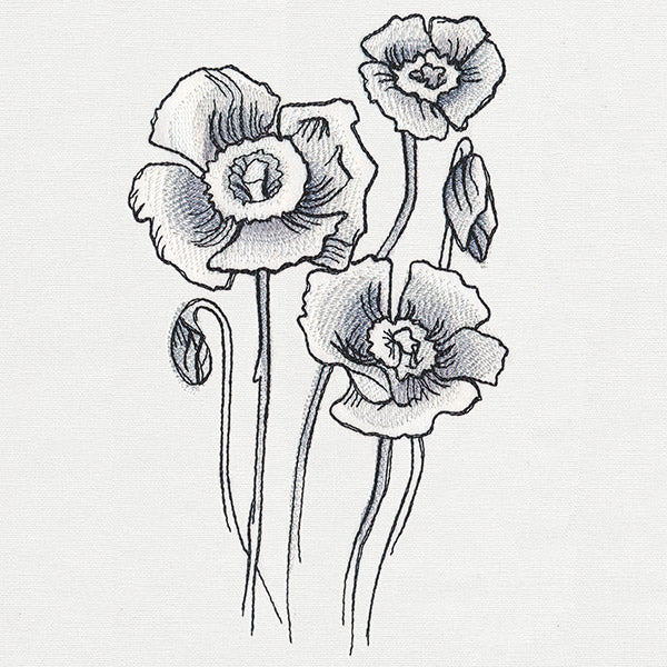 Ink & Wash - Poppies