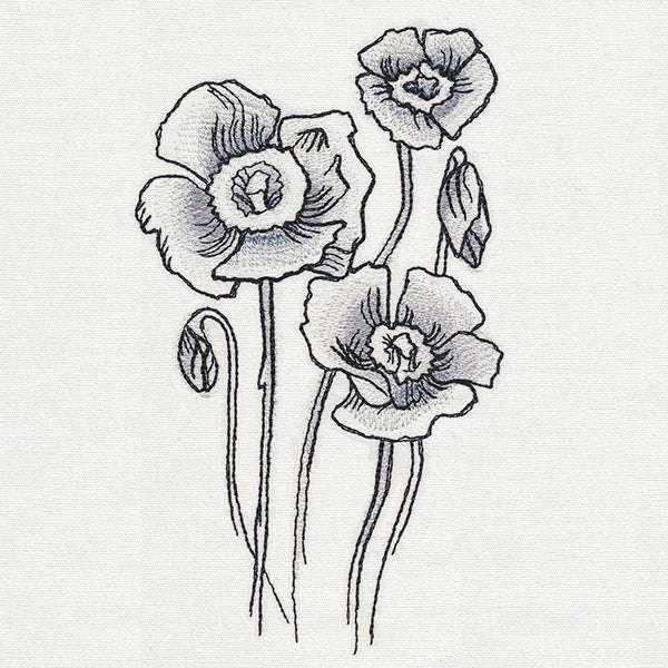 Ink & Wash - Poppies