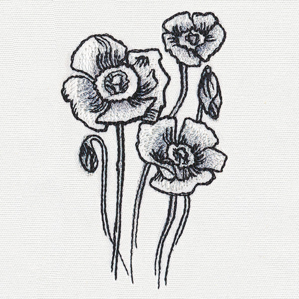 Ink & Wash - Poppies