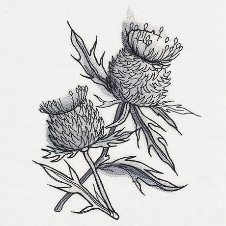 Ink & Wash - Thistle