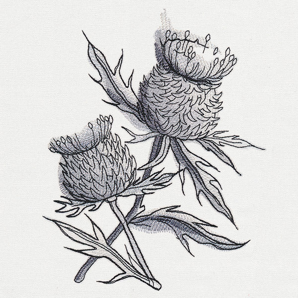 Ink & Wash - Thistle