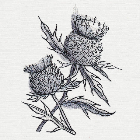 Ink & Wash - Thistle