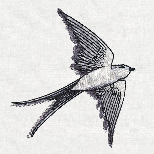 Ink & Wash - Swallow