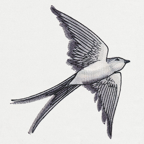 Ink & Wash - Swallow