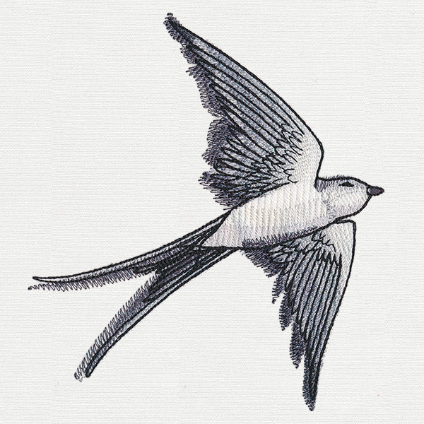 Ink & Wash - Swallow