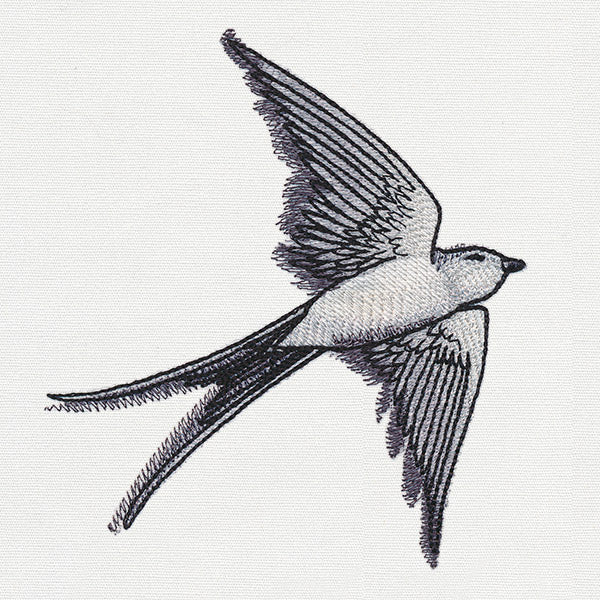 Ink & Wash - Swallow